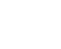 Alemiservices